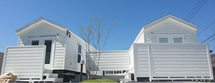 p[NZhi11M~2