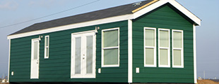 p[NZhi11M